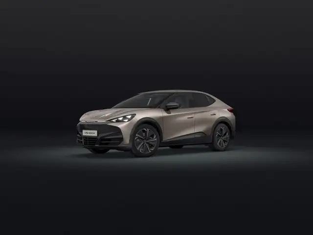 CUPRA Tavascan Tavascan Endurance 77kWh 286 CV RWD Immersive