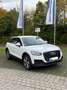 Audi Q2 design Weiß - thumbnail 2