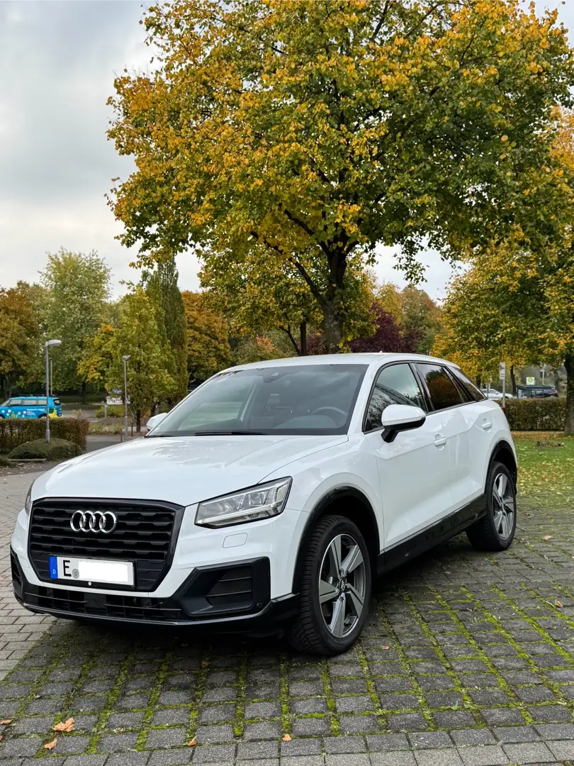 Audi Q2 design Weiß - 1