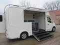 Renault Master 2.3dCi - Marktwagen Weiß - thumbnail 9