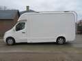 Renault Master 2.3dCi - Marktwagen Weiß - thumbnail 3