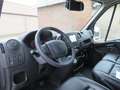 Renault Master 2.3dCi - Marktwagen Weiß - thumbnail 19