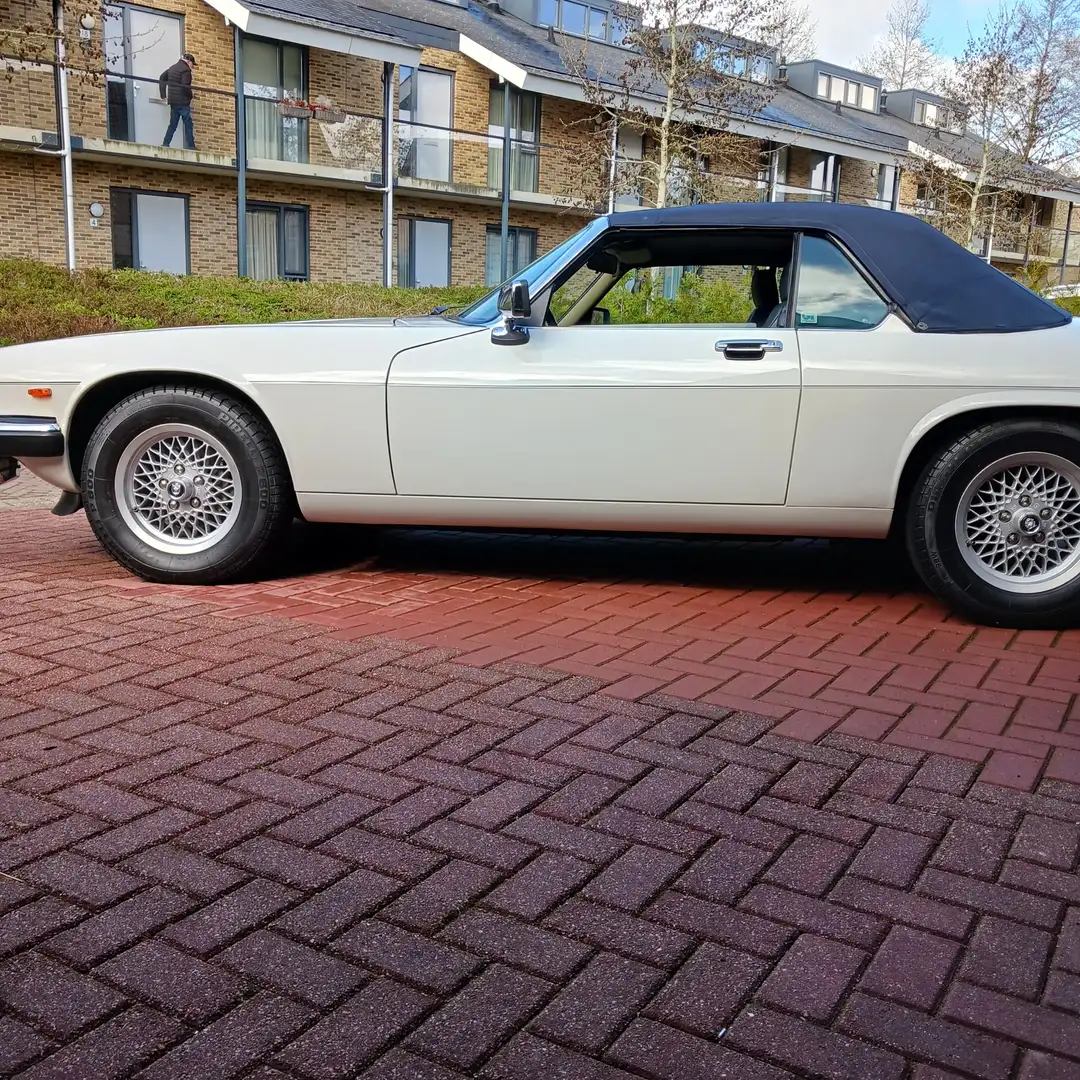 Jaguar XJS 5.3 V12 Convertible Weiß - 2
