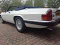 Jaguar XJS 5.3 V12 Convertible Weiß - thumbnail 12