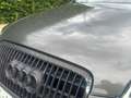 Audi A6 allroad A6 allroad quattro 2.7 TDI tiptronic DPF Gris - thumbnail 18
