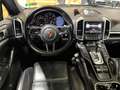 Porsche Cayenne Platinum Edition/PANO/KAMERA/BOSE/NAVI Schwarz - thumbnail 23