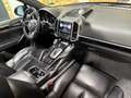 Porsche Cayenne Platinum Edition/PANO/KAMERA/BOSE/NAVI Schwarz - thumbnail 19