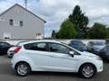 Ford Fiesta Trend NUR 69000KM Bianco - thumbnail 13