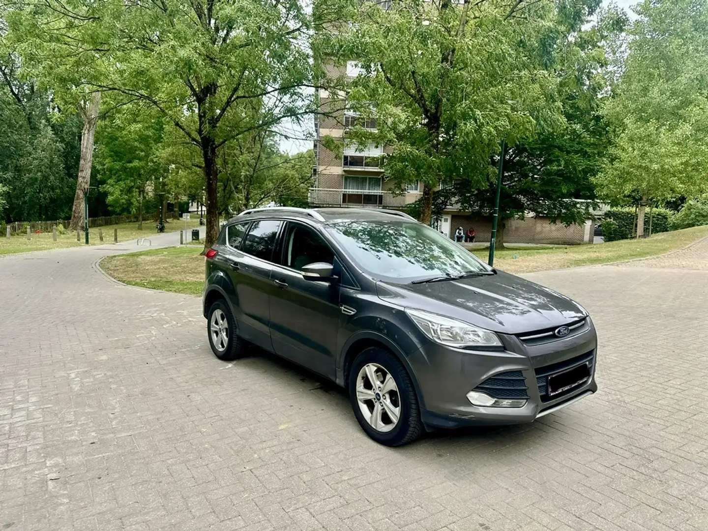 Ford Kuga Kuga 2.0 TDCi FWD Business Edition S/S Gris - 2