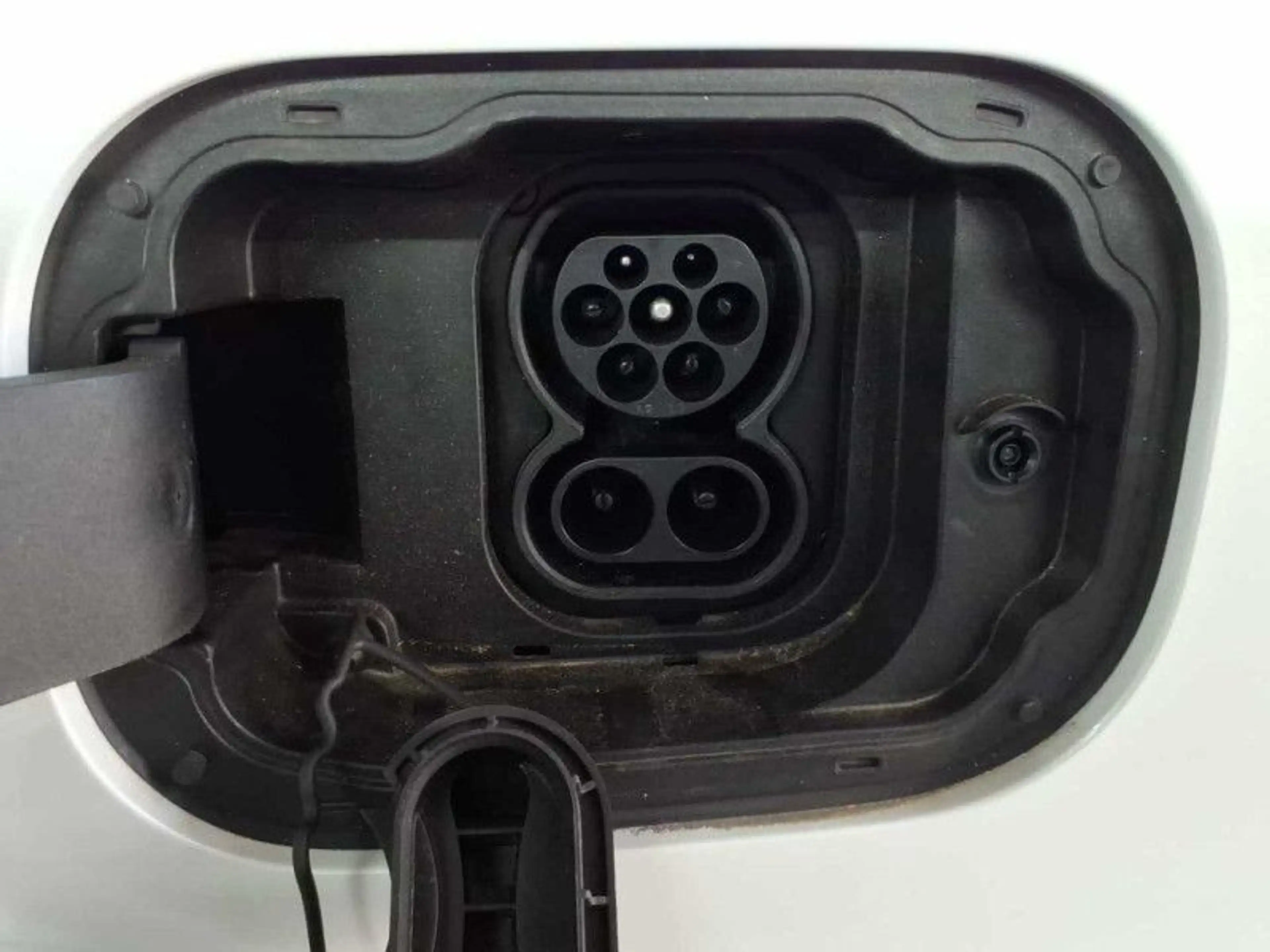 Ora Funky Cat 400 Pro LED ACC 360°Kam el.Sitz Wämrp. — photo 11