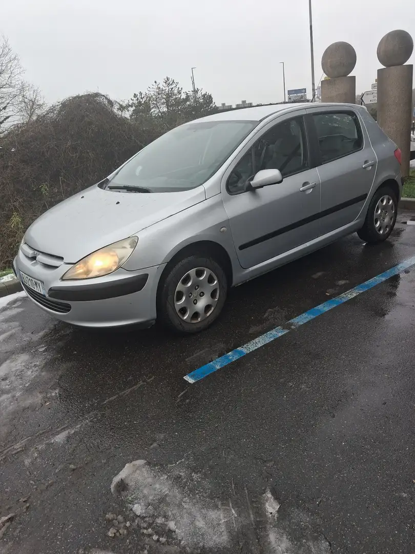 Peugeot 307 Break 90 Grand Filou Cool - 2