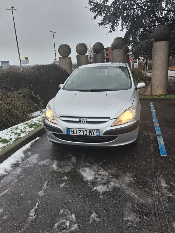 Peugeot 307 Break 90 Grand Filou Cool