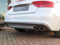 Audi S5 Cabriolet 3.0 TFSI A5 quattro Pro Line | Sportstoe Weiß - thumbnail 14