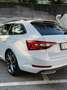 Skoda Superb Superb Kombi 2,0 TDI Sportline DSG Sportline Weiß - thumbnail 17
