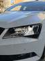 Skoda Superb Superb Kombi 2,0 TDI Sportline DSG Sportline Weiß - thumbnail 13