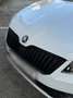 Skoda Superb Superb Kombi 2,0 TDI Sportline DSG Sportline Weiß - thumbnail 19