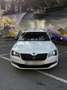Skoda Superb Superb Kombi 2,0 TDI Sportline DSG Sportline Weiß - thumbnail 12