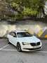 Skoda Superb Superb Kombi 2,0 TDI Sportline DSG Sportline Weiß - thumbnail 11