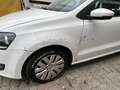 Volkswagen Polo Polo 5p 1.2 tdi Comfortline neopatentati Bianco - thumbnail 6