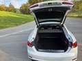 Audi A5 SB 2,0TDI quat. S-Line ACC Leder ,Sport,Spur-ha... Weiß - thumbnail 20