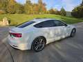 Audi A5 SB 2,0TDI quat. S-Line ACC Leder ,Sport,Spur-ha... Weiß - thumbnail 15