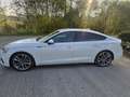 Audi A5 SB 2,0TDI quat. S-Line ACC Leder ,Sport,Spur-ha... Weiß - thumbnail 5