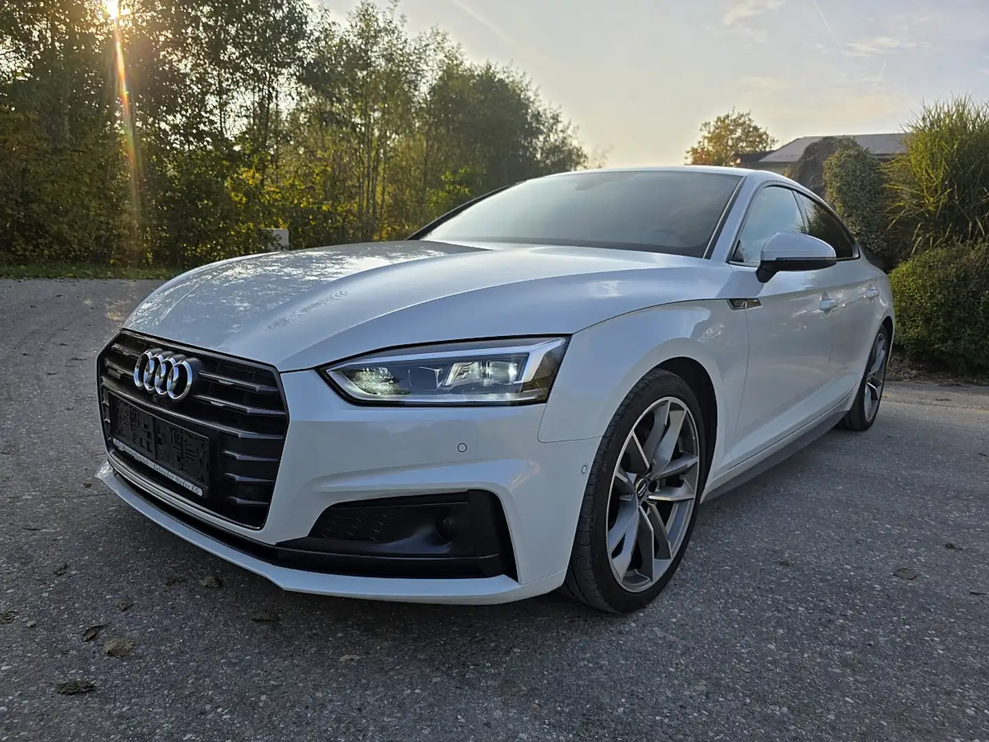 Audi A5 SB 2,0TDI quat. S-Line ACC Leder ,Sport,Spur-ha... Weiß - 1