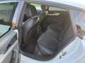 Audi A5 SB 2,0TDI quat. S-Line ACC Leder ,Sport,Spur-ha... Weiß - thumbnail 11