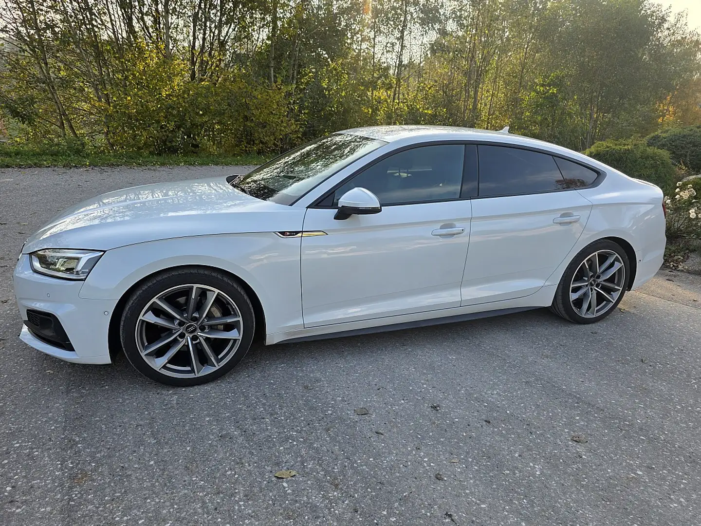 Audi A5 SB 2,0TDI quat. S-Line ACC Leder ,Sport,Spur-ha... Weiß - 1
