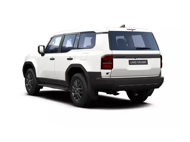 Toyota Land Cruiser view 7