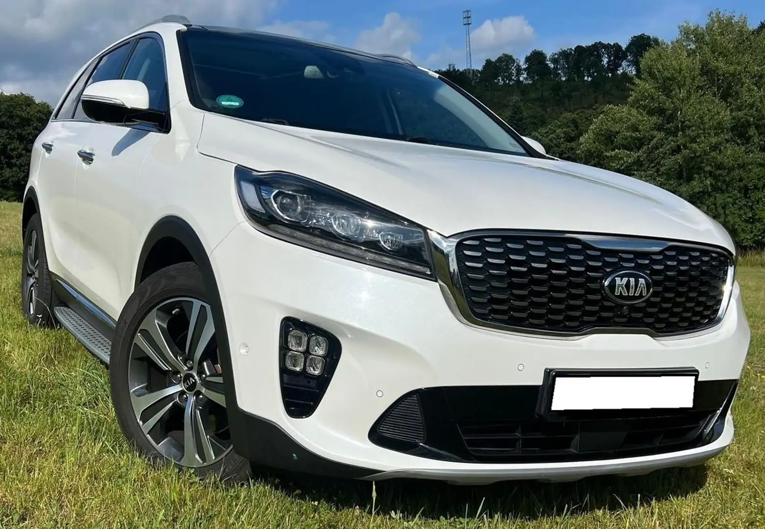 Kia Sorento 2.2 CRDi GT-Line 4WD NAVI LEDER PANO - 1