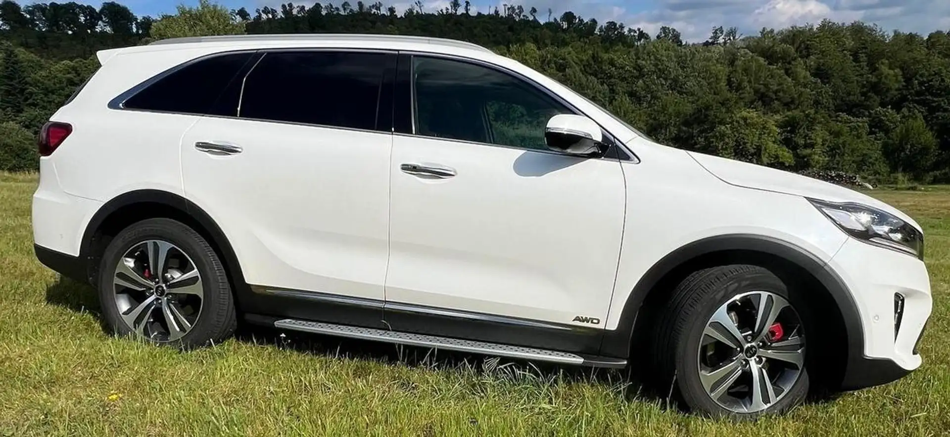 Kia Sorento 2.2 CRDi GT-Line 4WD NAVI LEDER PANO - 2