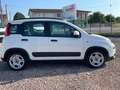 Fiat Panda 1.0 FireFly S&S Hybrid City Life Blanc - thumbnail 2