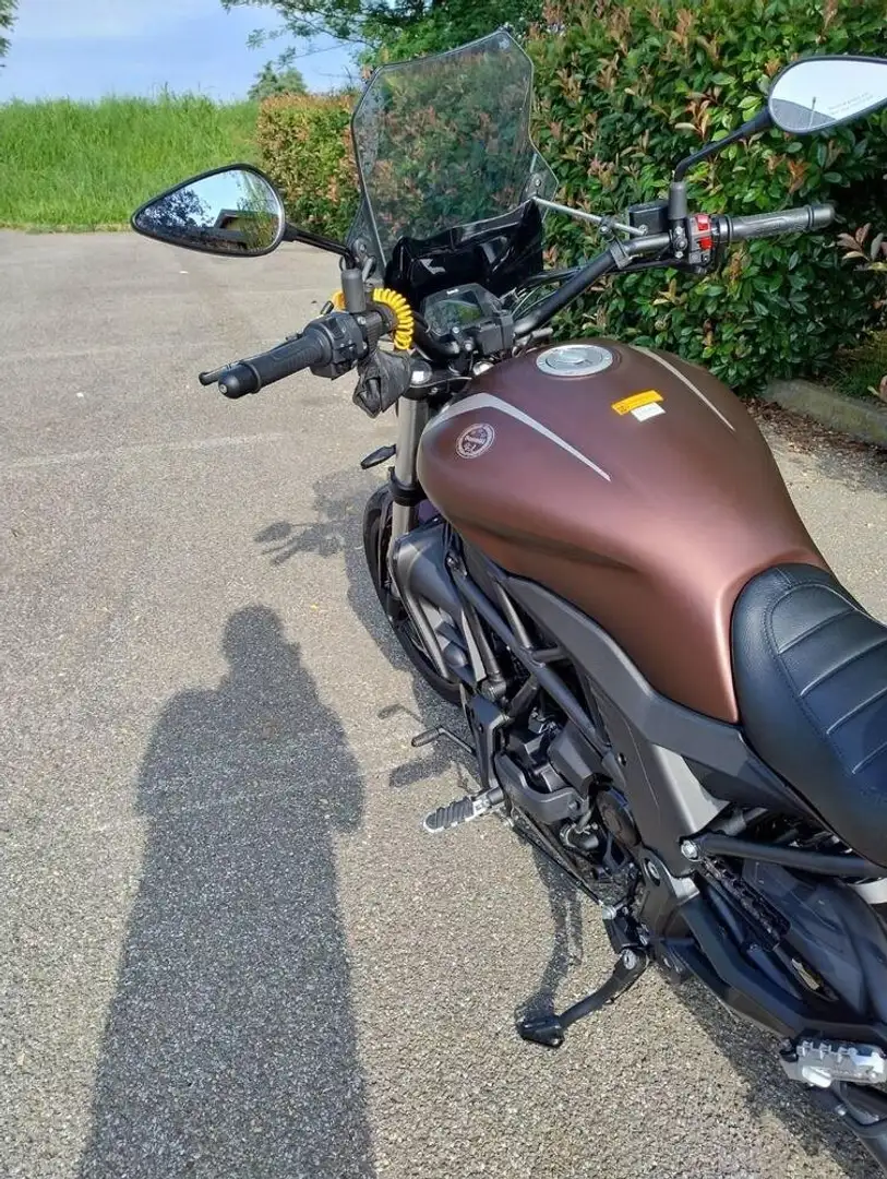 Benelli 502C Brun - 2