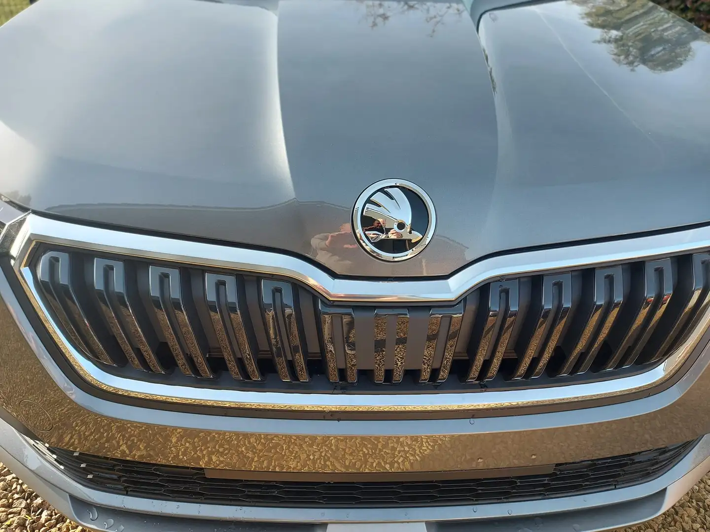 Skoda Kamiq Kamiq 1.0 TSI Ambition Gris - 2