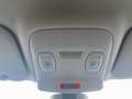 Renault Scenic LIMITED TCe 140  5.550 Kilometer!! Gold - thumbnail 15