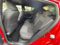 Toyota C-HR 1.8 IBRIDA TAGLIANDATA TOYOTA SI A NEOPATENTATI Rosso - thumbnail 7