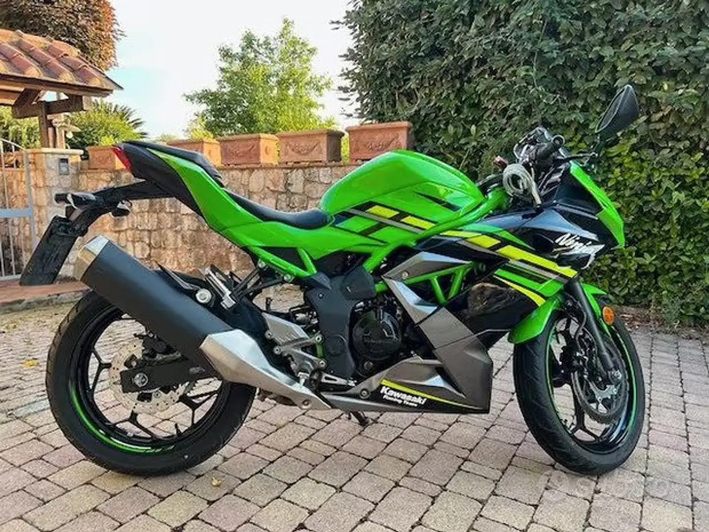 Kawasaki Ninja 125 BX125AE (2019÷2020) Verde - 1
