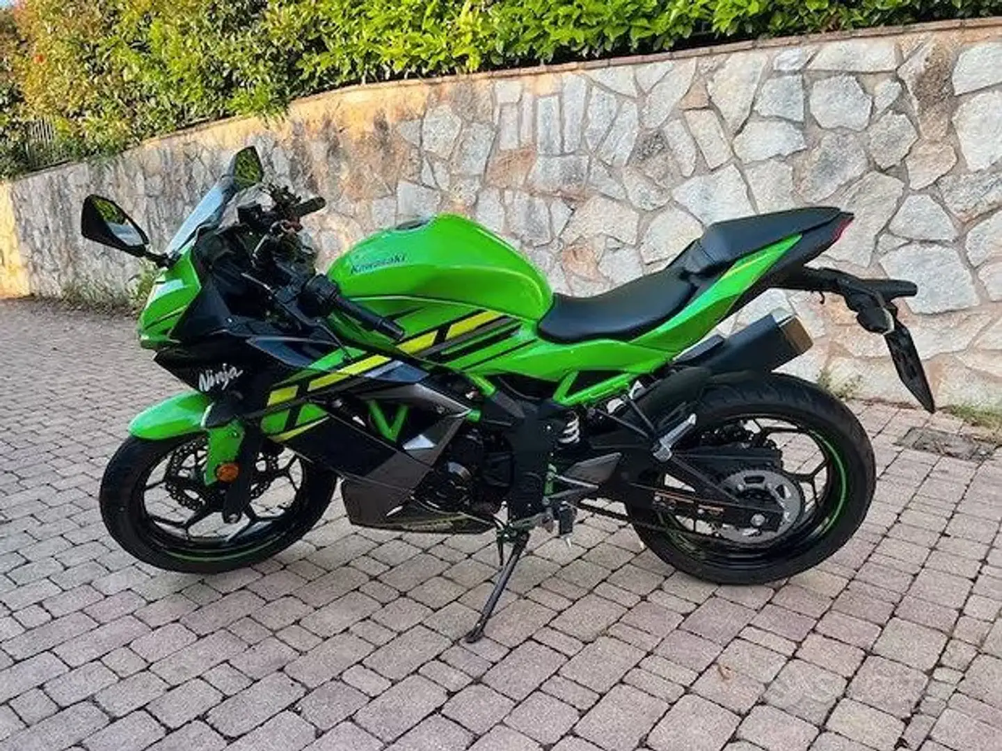 Kawasaki Ninja 125 BX125AE (2019÷2020) Verde - 2