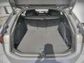 Audi A6 Avant e-tron quattro S-Line AHK TechPlus ACC Grau - thumbnail 14