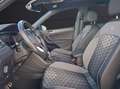 Volkswagen Tiguan TSI R-line DSG Matrix Navi AID ACC 360° Pano 19" Blau - thumbnail 12