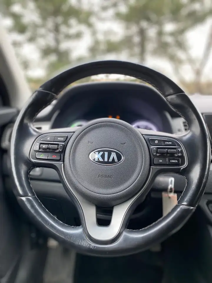 Kia Niro снимка Kia Niro