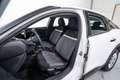 Citroen C4 1.5 BlueHDI S&S Live Pack 110 Blanco - thumbnail 13