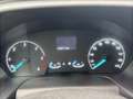 Ford Transit Pritsche 310 L2 Doppelkabine /Klima /AHK/7-Sitzer/ Weiß - thumbnail 20