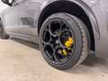 Alfa Romeo Stelvio Quadrifoglio Q4 Grau - thumbnail 15