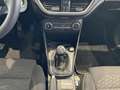 Ford Fiesta Titanium 24m Garantie|Camera|Carplay|Winterpack $ Grau - thumbnail 11