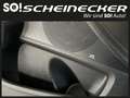 Kia ProCeed / pro_cee'd Proceed 1,5 TGDI 48V GPF GT-Line DCT Schwarz - thumbnail 18