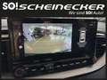 Kia ProCeed / pro_cee'd Proceed 1,5 TGDI 48V GPF GT-Line DCT Noir - thumbnail 25
