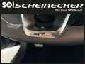 Kia ProCeed / pro_cee'd Proceed 1,5 TGDI 48V GPF GT-Line DCT Noir - thumbnail 31