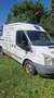 Ford Transit FT 280 M Variobus 4.36 Basis - thumbnail 11
